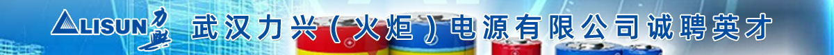 �人���ˣ���棩��Դ���޹�˾